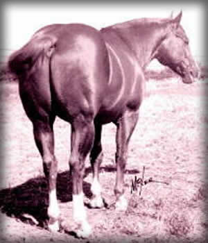 Leo, one of the all time great sires