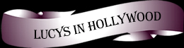 Lucys in Hollywood Sorrel Quarter Horse