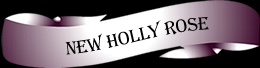 New Holly Rose Sorrel Quarter Horse